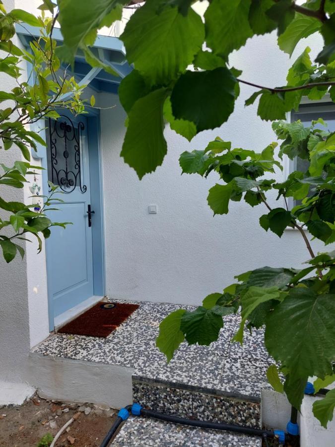 Mel'S Garden House In The Heart Of The City ボドルム エクステリア 写真